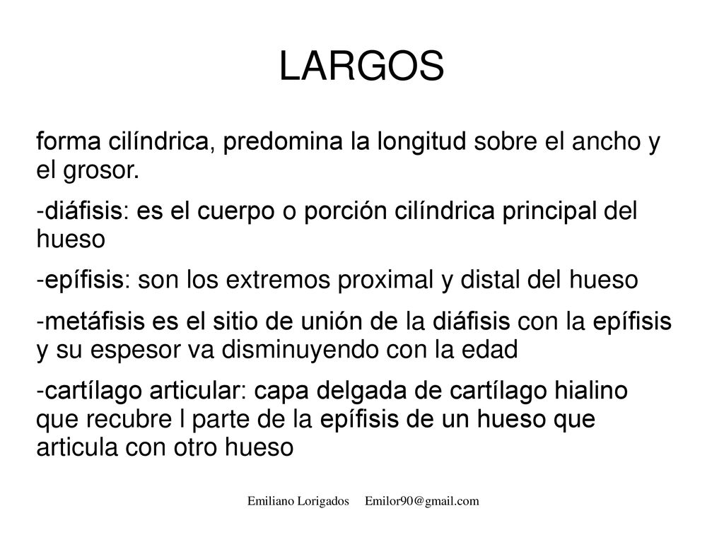LARGOS forma cilíndrica, predomina la longitud sobre el ancho y el grosor. diáfisis: es el cuerpo o porción cilíndrica principal del hueso.
