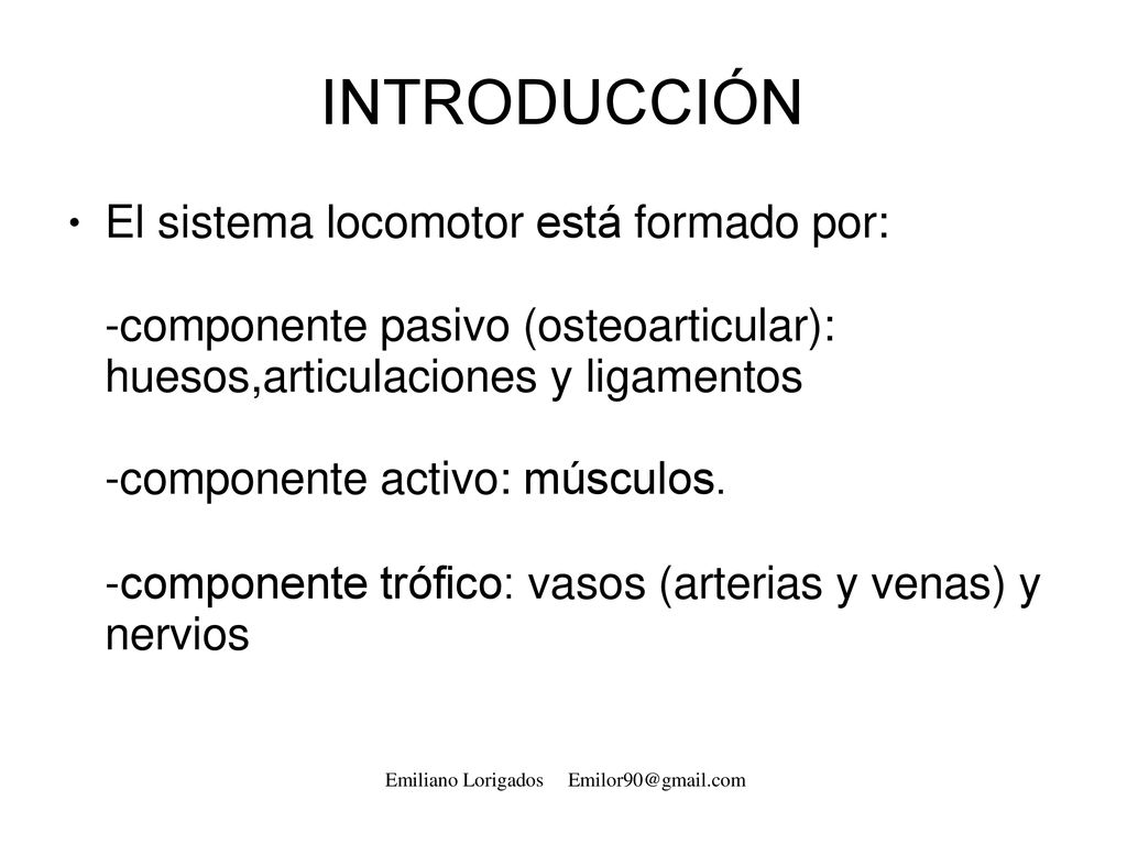 INTRODUCCIÓN El sistema locomotor está formado por: