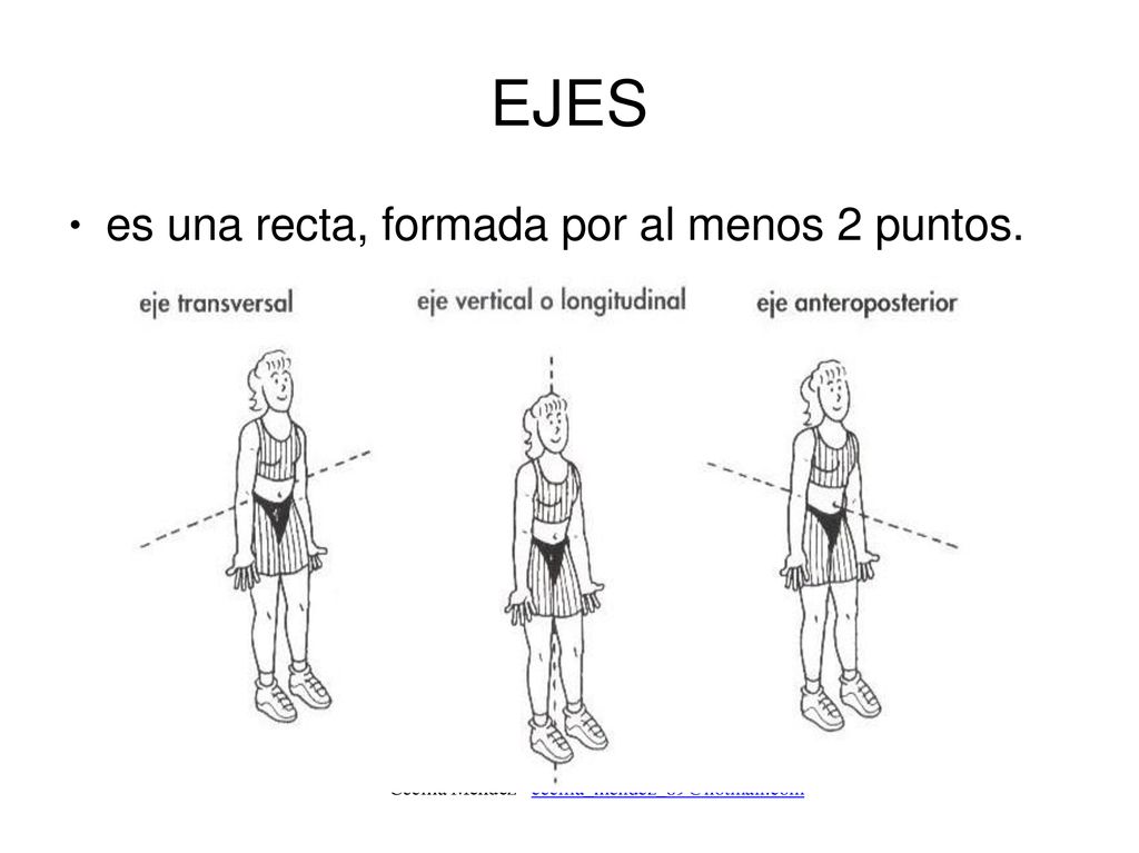 EJES es una recta, formada por al menos 2 puntos. ●