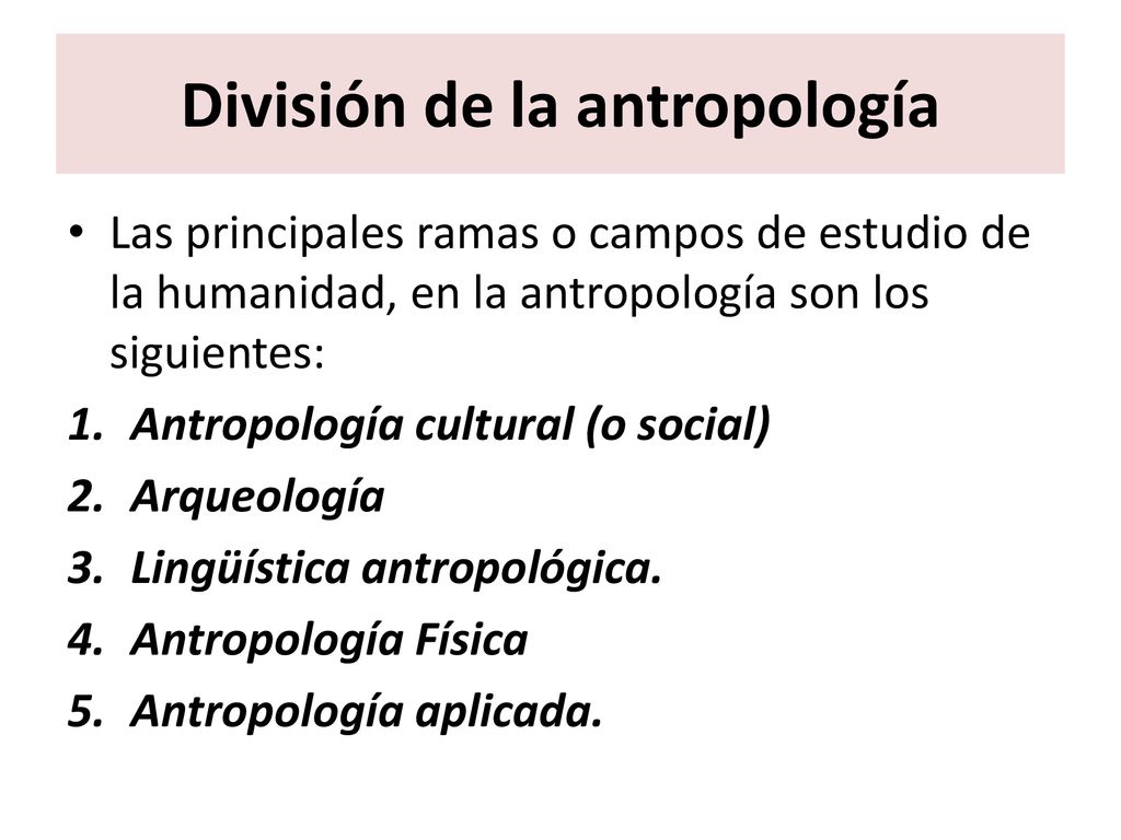 Antropología Social Unidad 1: La antropología y su relación con otras  ciencias sociales. M.C. Jorge Sadi Durón. - ppt descargar