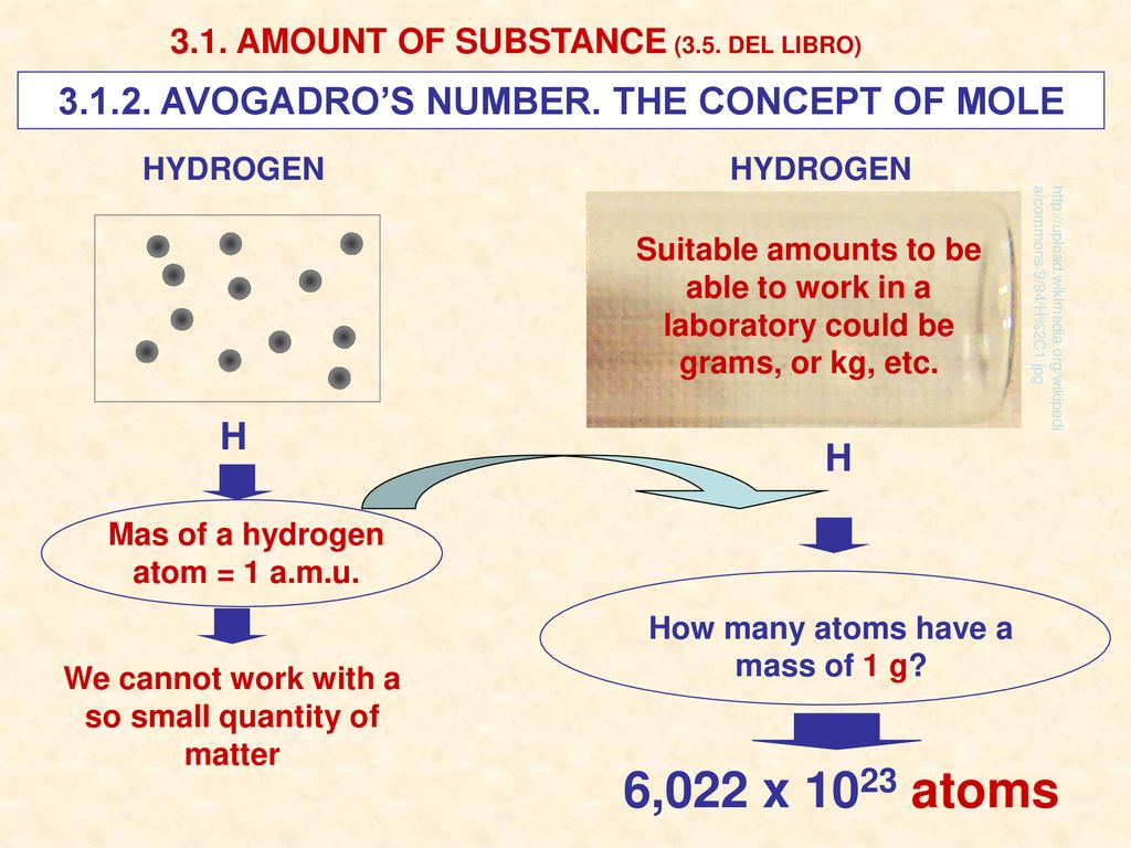 6,022 x 1023 atoms AVOGADRO’S NUMBER. THE CONCEPT OF MOLE H H
