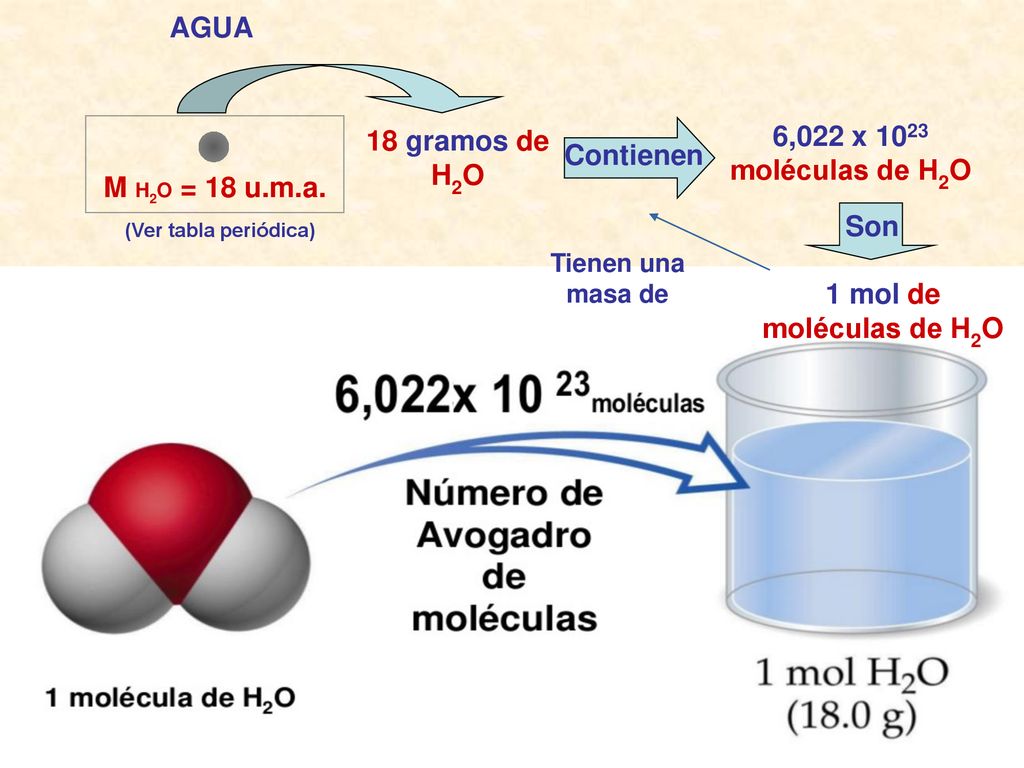 AGUA 6,022 x 1023 moléculas de H2O 18 gramos de H2O Contienen