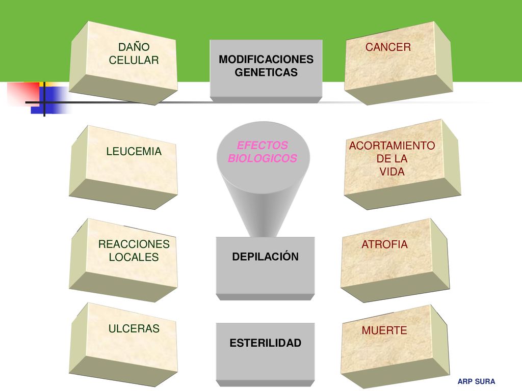 DAÑO CELULAR. CANCER. MODIFICACIONES. GENETICAS. ACORTAMIENTO. DE LA. VIDA. LEUCEMIA. EFECTOS.