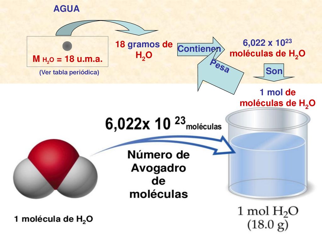 AGUA 6,022 x 1023 moléculas de H2O 18 gramos de H2O Contienen