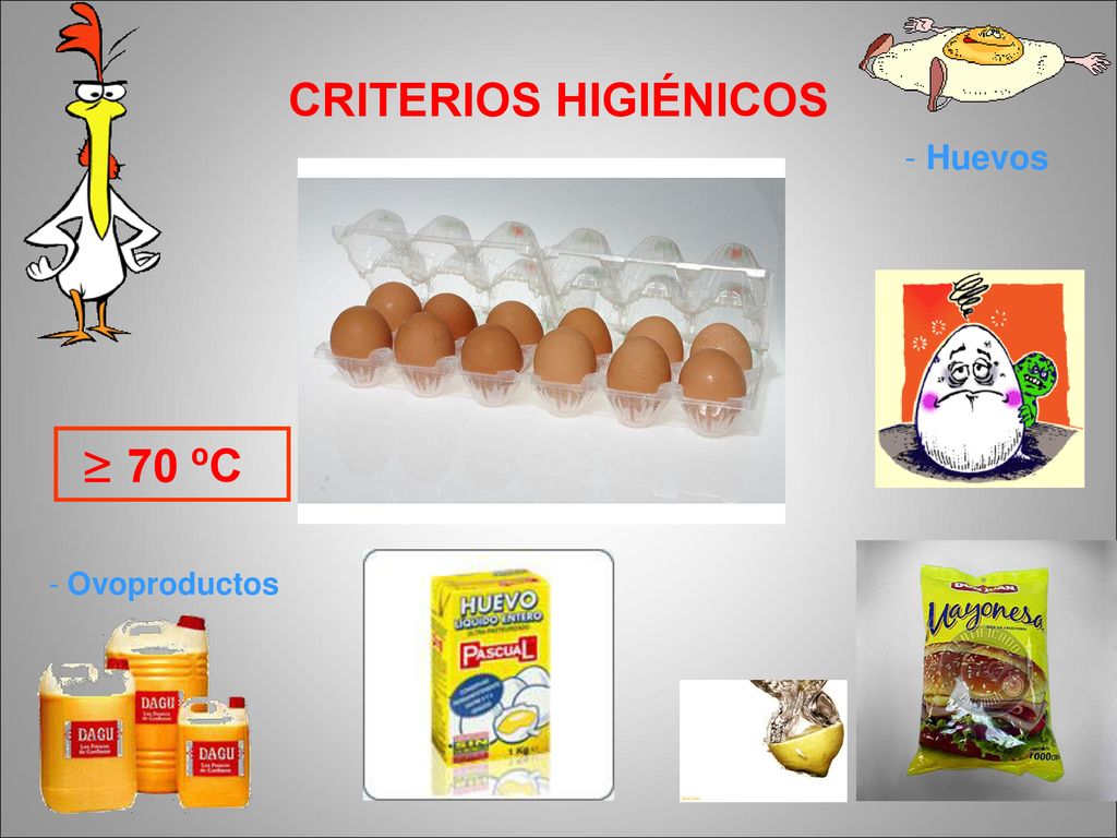 CRITERIOS HIGIÉNICOS Huevos ≥ 70 ºC Ovoproductos
