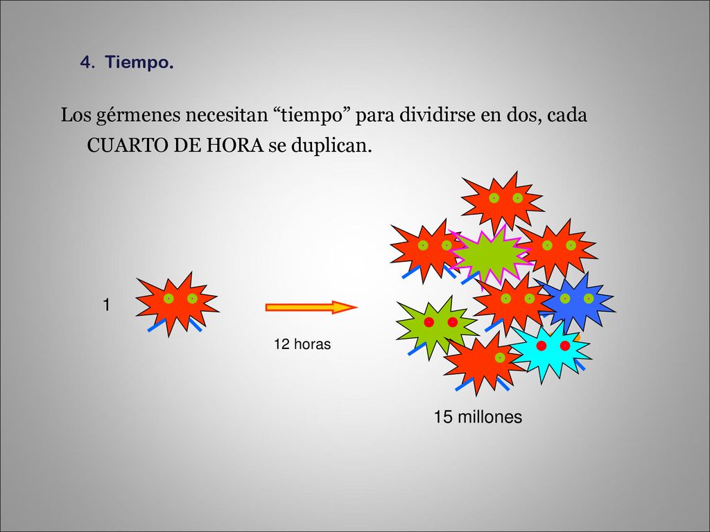 4. Tiempo. Los gérmenes necesitan tiempo para dividirse en dos, cada CUARTO DE HORA se duplican.