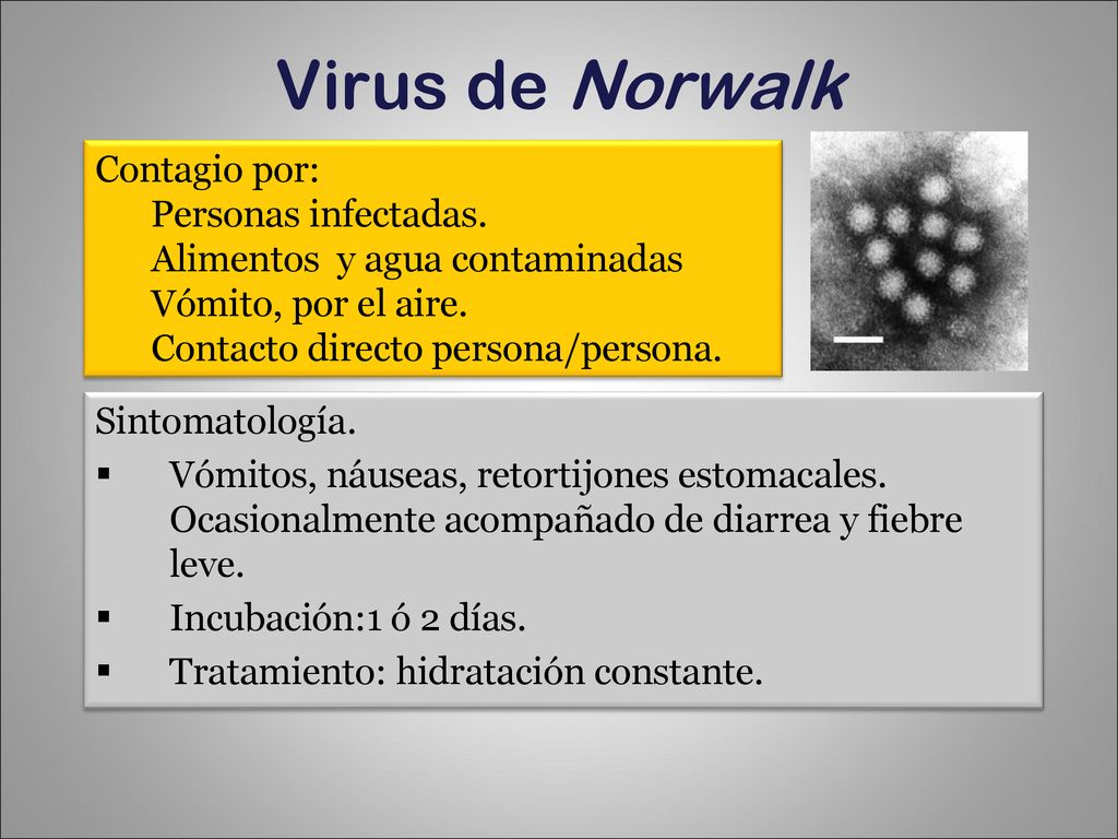 Virus de Norwalk Contagio por: Personas infectadas.