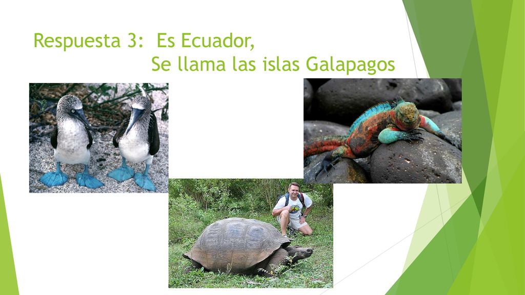 Respuesta 3: Es Ecuador, Se llama las islas Galapagos