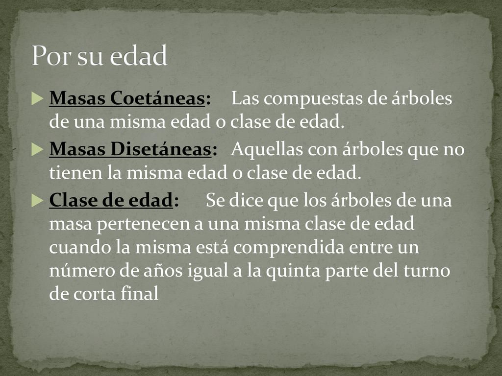 Por su edad Masas Coetáneas: Las compuestas de árboles de una misma edad o clase de edad.