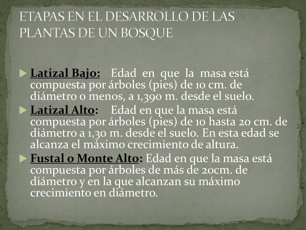 ETAPAS EN EL DESARROLLO DE LAS PLANTAS DE UN BOSQUE
