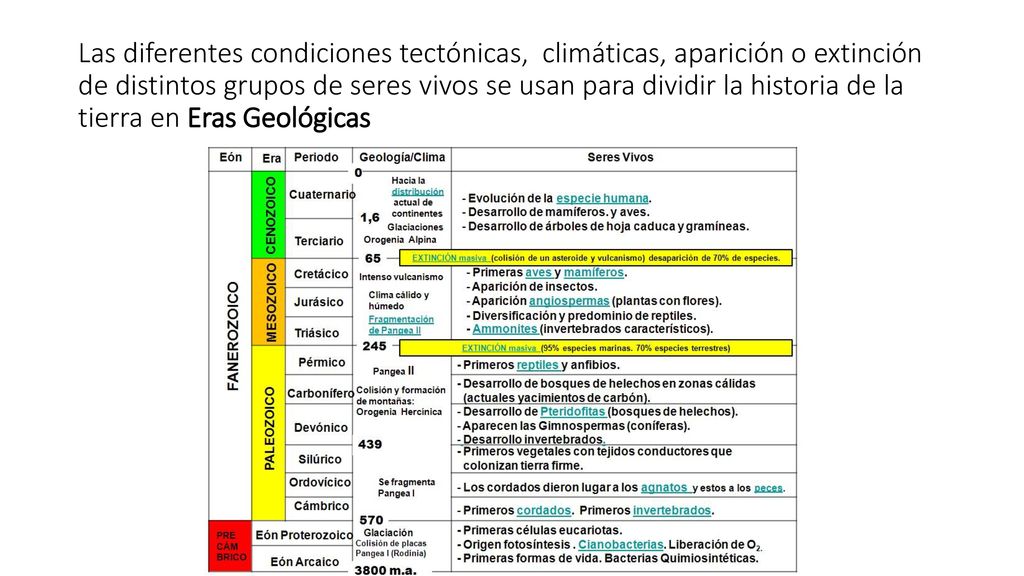 Las diferentes condiciones tectónicas, climáticas, aparición o extinción de distintos grupos de seres vivos se usan para dividir la historia de la tierra en Eras Geológicas