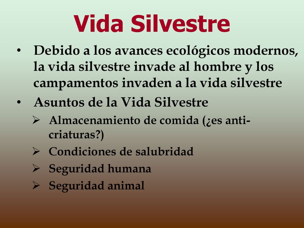 Vida Silvestre Debido a los avances ecológicos modernos, la vida silvestre invade al hombre y los campamentos invaden a la vida silvestre.
