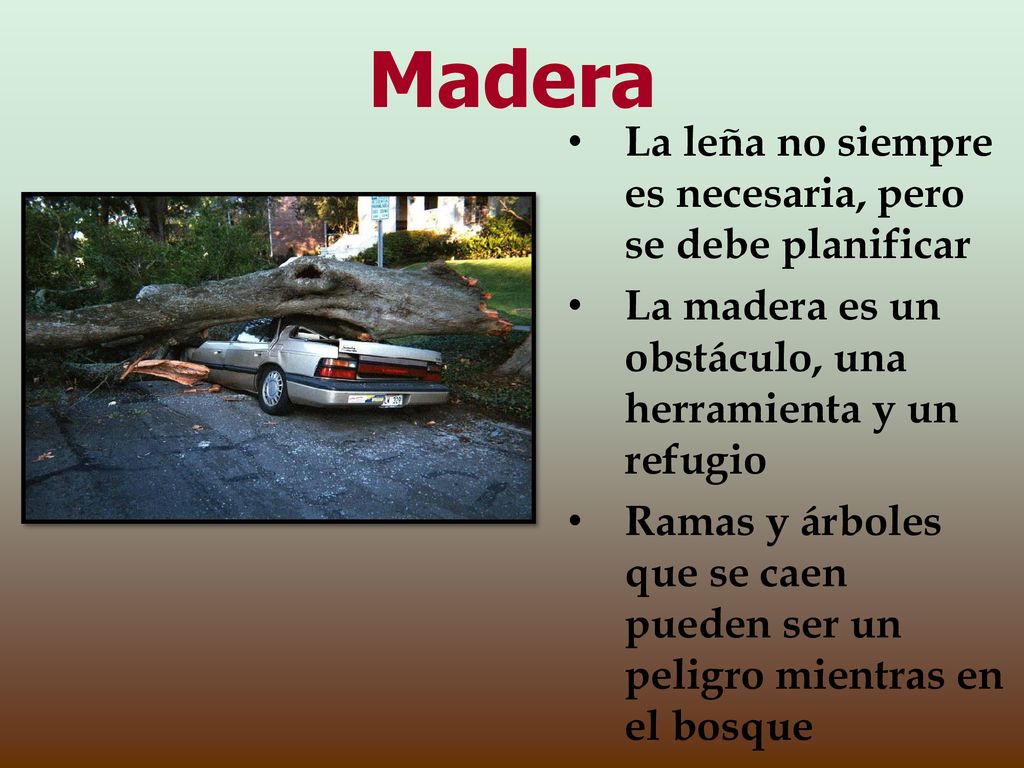 Madera La leña no siempre es necesaria, pero se debe planificar
