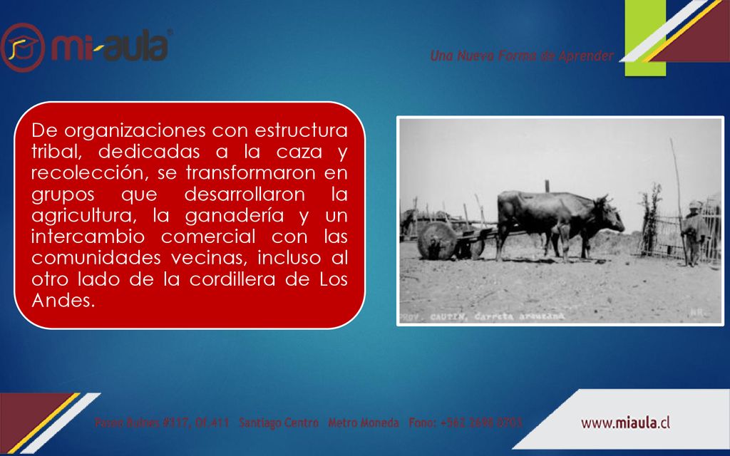 De organizaciones con estructura tribal, dedicadas a la caza y recolección, se transformaron en grupos que desarrollaron la agricultura, la ganadería y un intercambio comercial con las comunidades vecinas, incluso al otro lado de la cordillera de Los Andes.