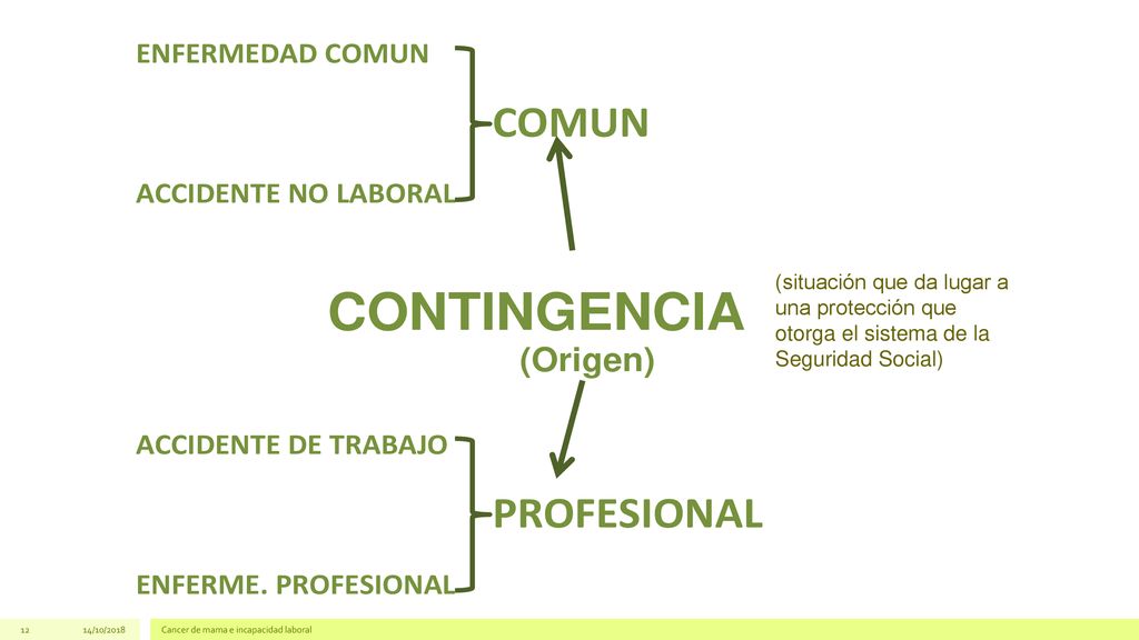 (situación que da lugar a una protección que otorga el sistema de la Seguridad Social)