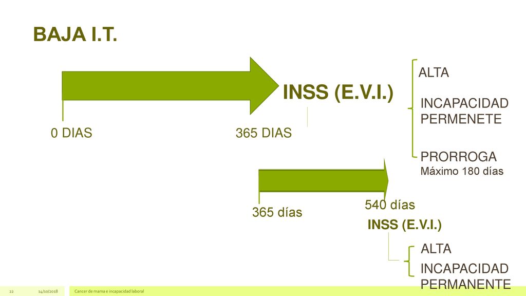 INSS (E.V.I.) ALTA INCAPACIDAD PERMENETE 0 DIAS 365 DIAS PRORROGA
