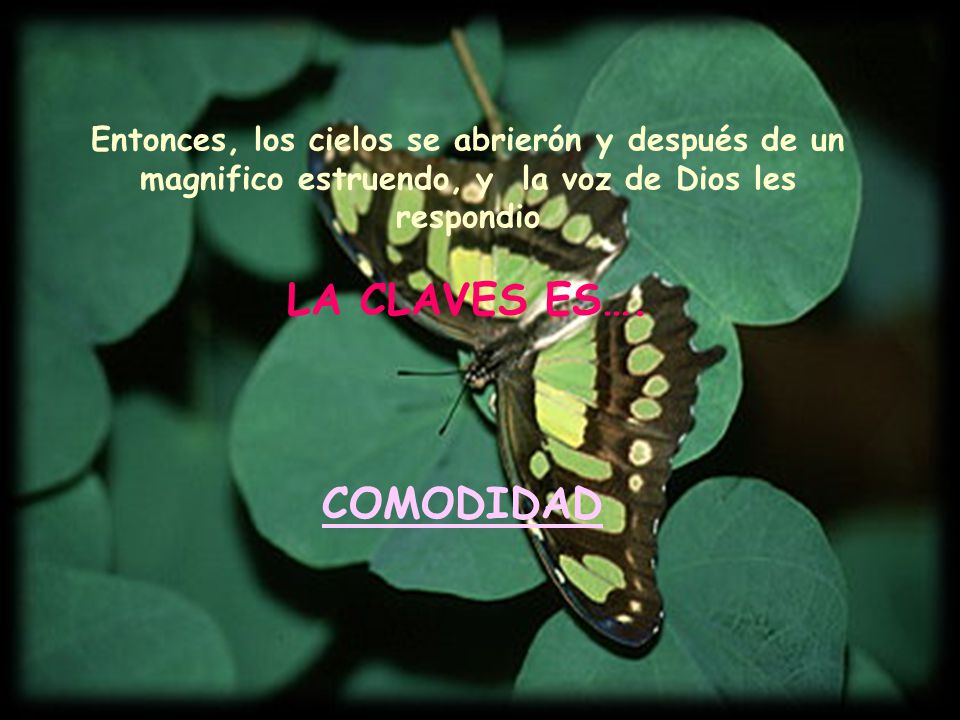 Entonces, los cielos se abrierón y después de un magnifico estruendo, y la voz de Dios les respondio LA CLAVES ES….