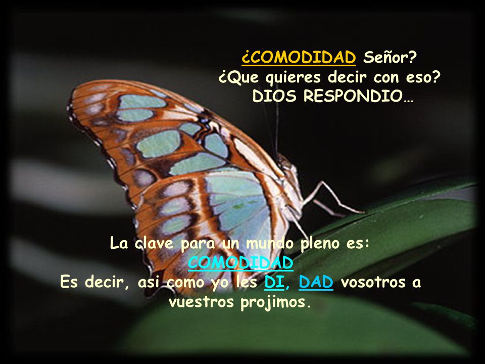 ¿COMODIDAD Señor ¿Que quieres decir con eso DIOS RESPONDIO…