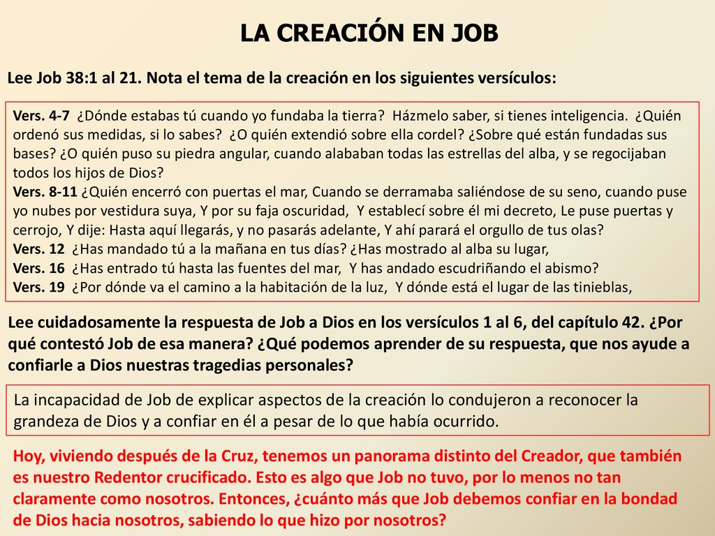 LA CREACIÓN EN JOB Lee Job 38:1 al 21. Nota el tema de la creación en los siguientes versículos: