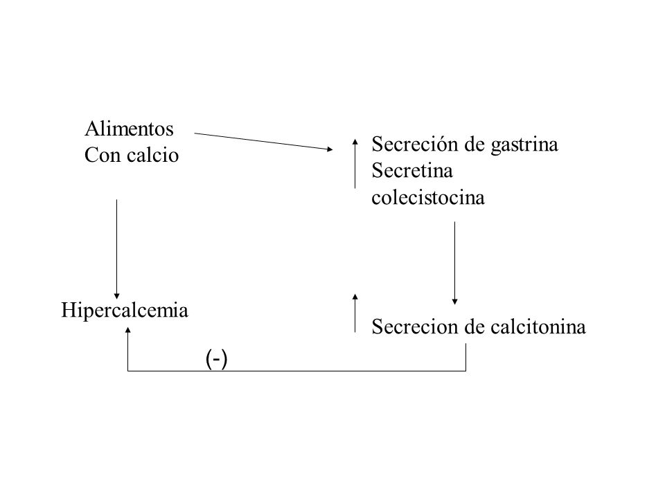 Alimentos Con calcio. Secreción de gastrina. Secretina. colecistocina. Hipercalcemia. Secrecion de calcitonina.