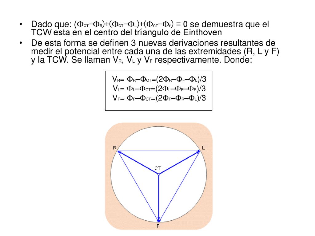 Dado que: (FCT–FR)+(FCT–FL)+(FCT-FF) = 0 se demuestra que el TCW esta en el centro del tríangulo de Einthoven