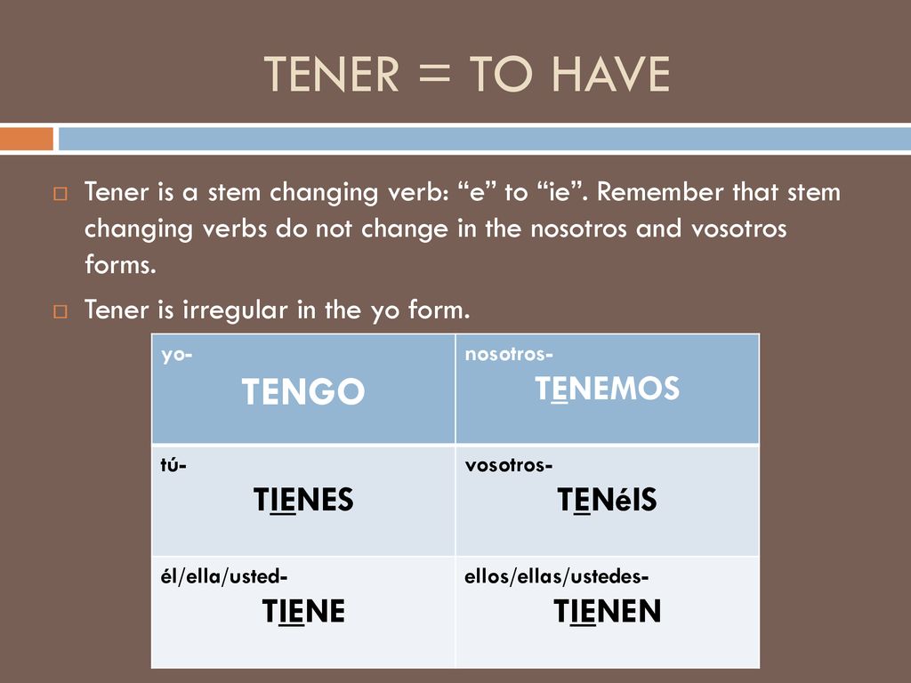 TENER = TO HAVE TENGO TENEMOS TIENES TENéIS TIENE TIENEN