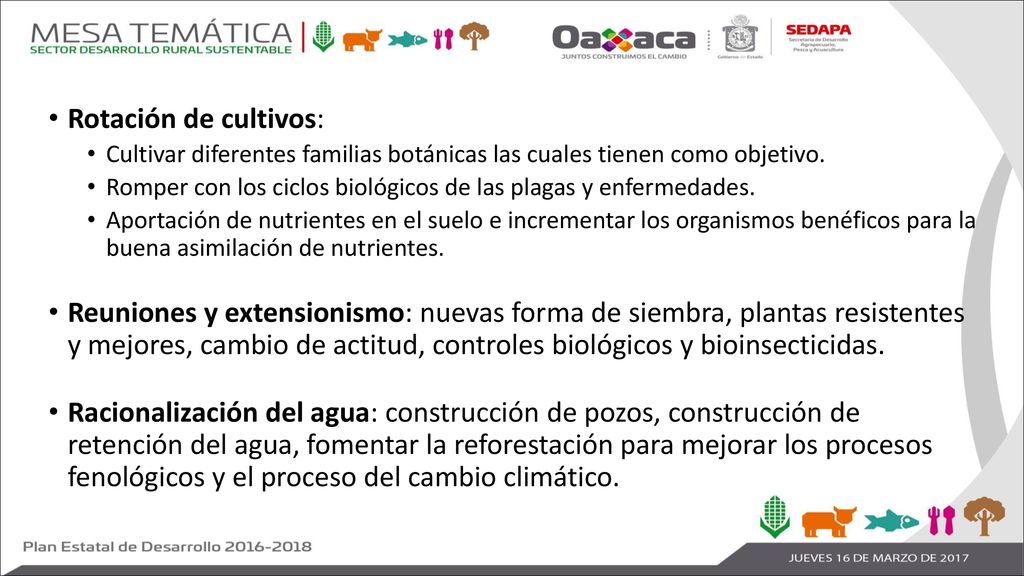 Rotación de cultivos: Cultivar diferentes familias botánicas las cuales tienen como objetivo.