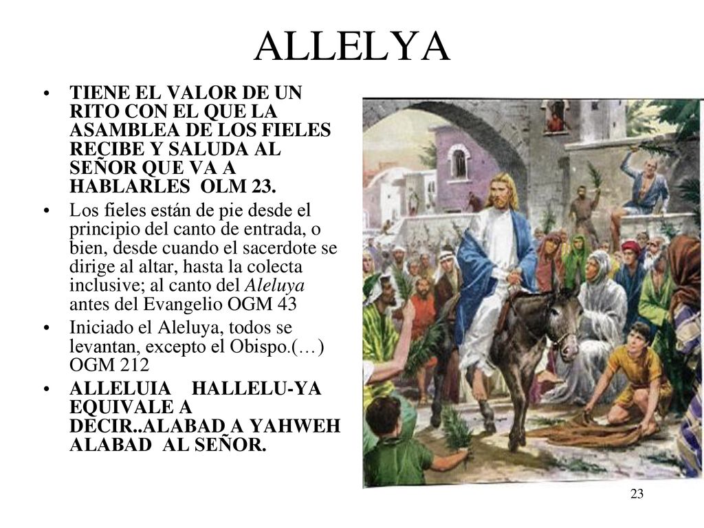 LITURGIA DE LA MISA ALLELYA. TIENE EL VALOR DE UN RITO CON EL QUE LA ASAMBLEA DE LOS FIELES RECIBE Y SALUDA AL SEÑOR QUE VA A HABLARLES OLM 23.