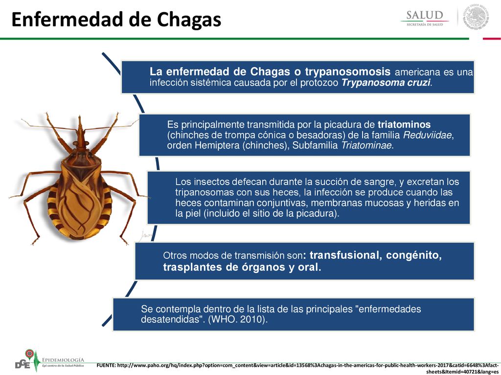 Enfermedad de Chagas La enfermedad de Chagas o trypanosomosis americana es una infección sistémica causada por el protozoo Trypanosoma cruzi.