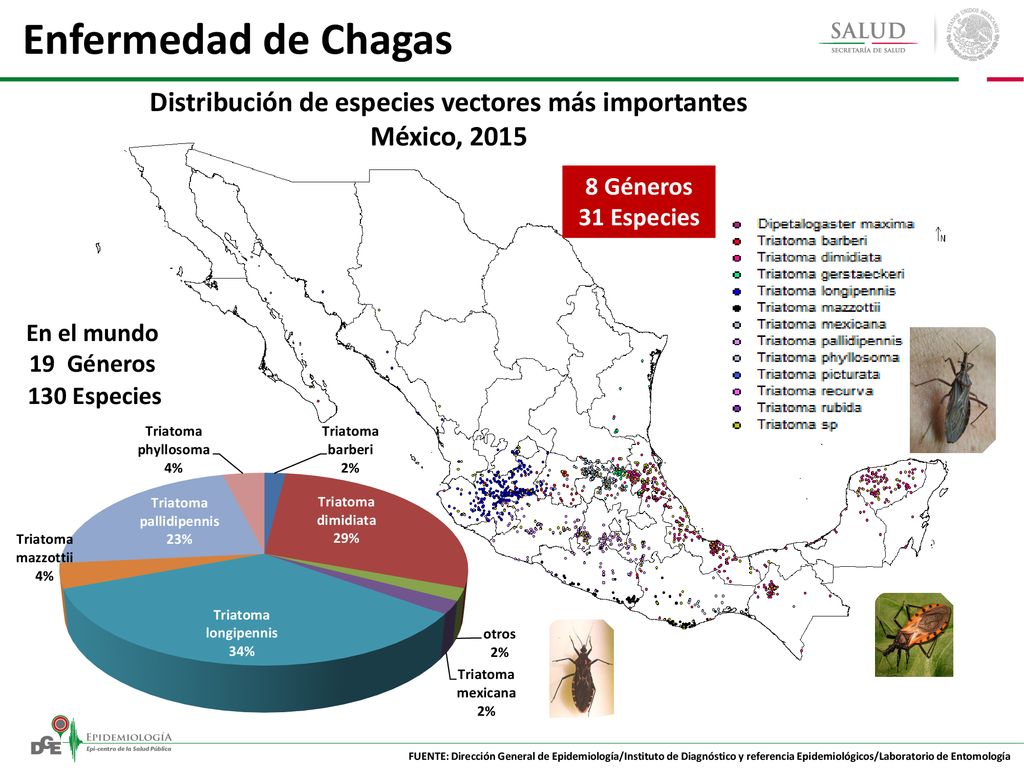 Distribución de especies vectores más importantes México, 2015