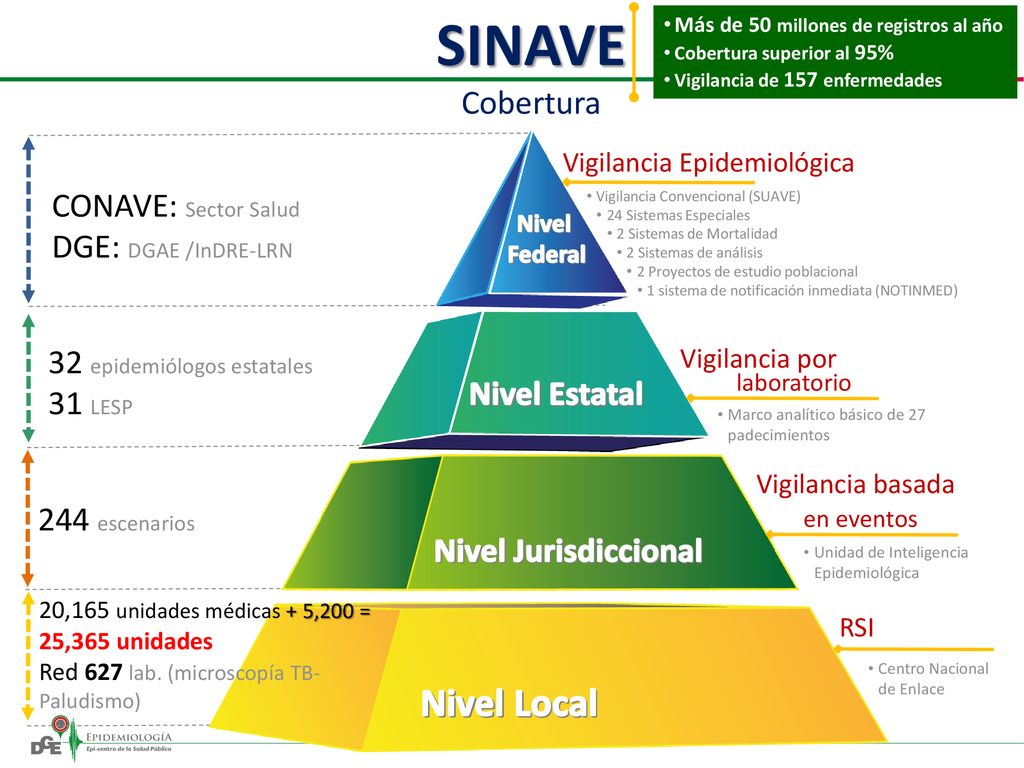 SINAVE Nivel Local Cobertura CONAVE: Sector Salud DGE: DGAE /InDRE-LRN