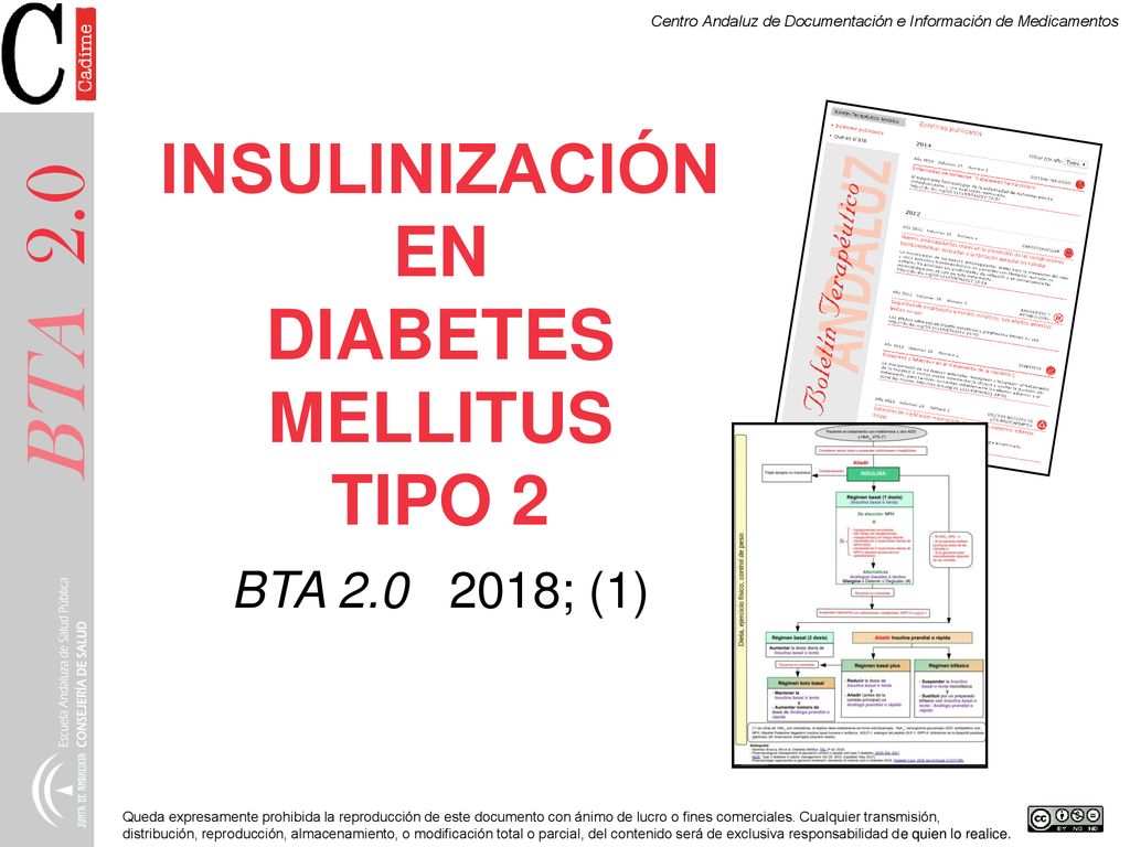 INSULINIZACIÓN EN DIABETES MELLITUS TIPO 2 BTA ; (1)