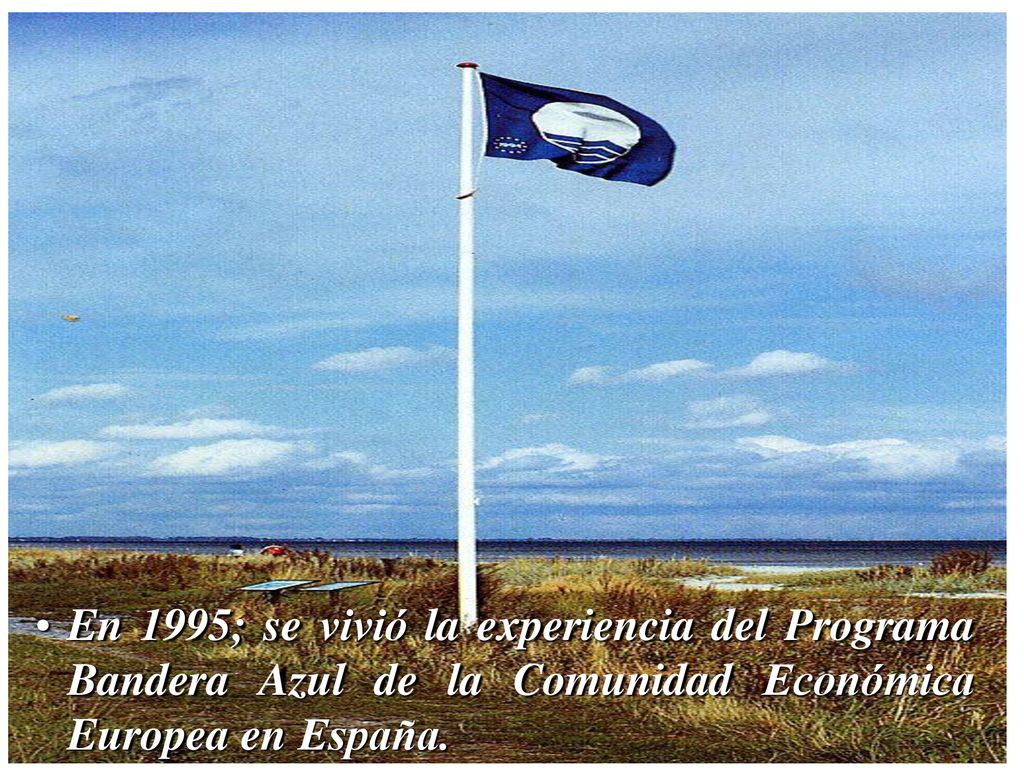 España En 1995; se vivió la experiencia del Programa Bandera Azul de la Comunidad Económica Europea en España.