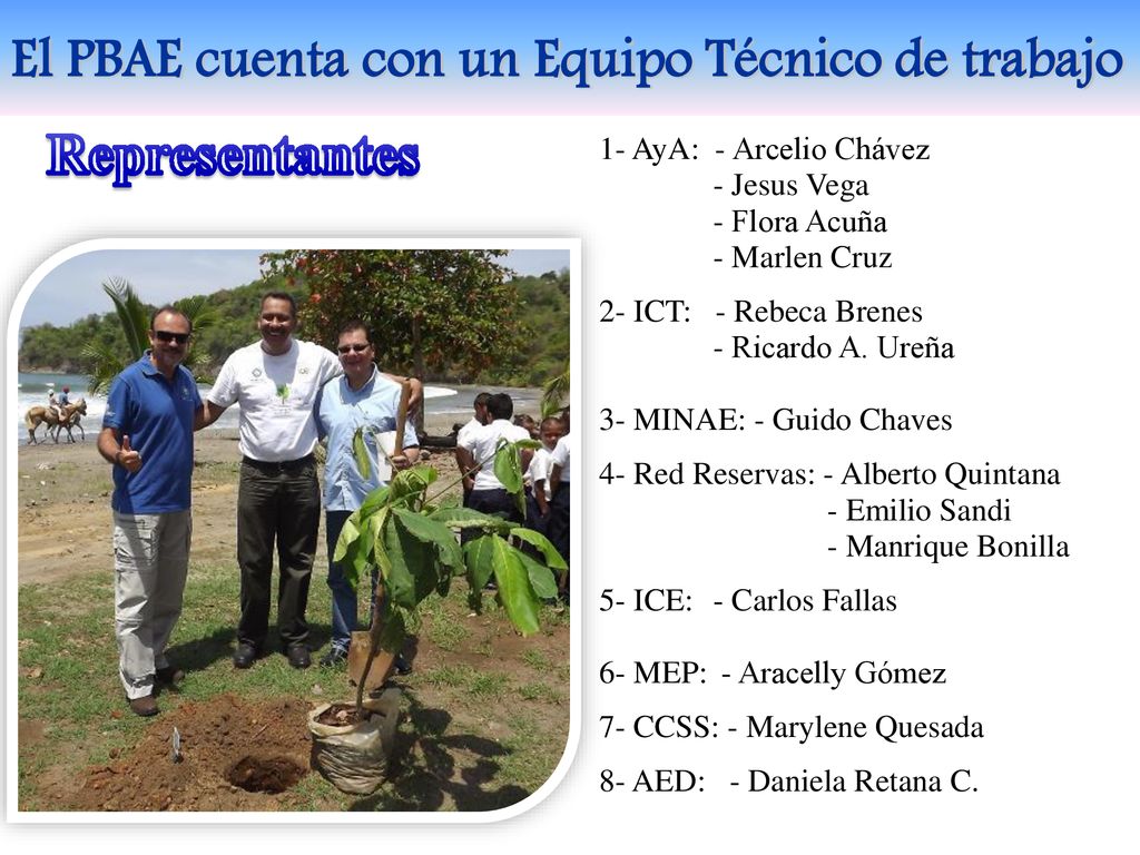 Representantes El PBAE cuenta con un Equipo Técnico de trabajo