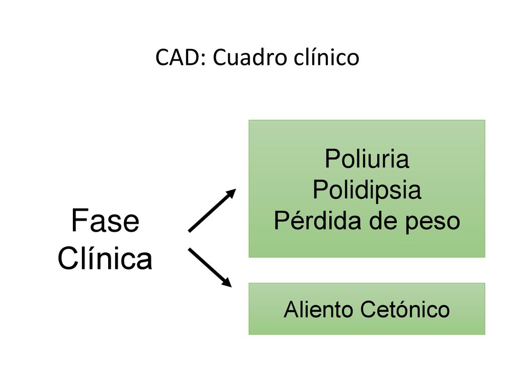 Fase Clínica CAD: Cuadro clínico Poliuria Polidipsia Pérdida de peso