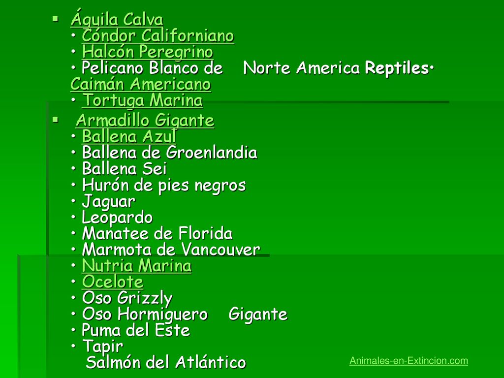 Águila Calva • Cóndor Californiano • Halcón Peregrino • Pelicano Blanco de Norte America Reptiles• Caimán Americano • Tortuga Marina