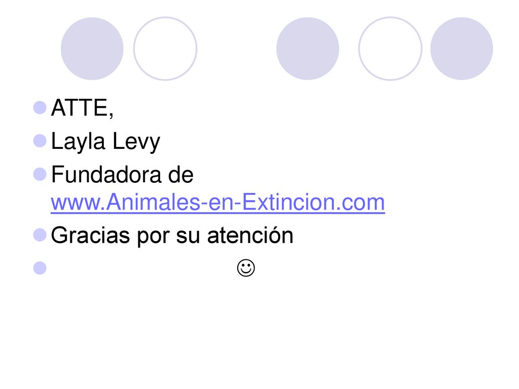 ATTE, Layla Levy Fundadora de   Gracias por su atención 