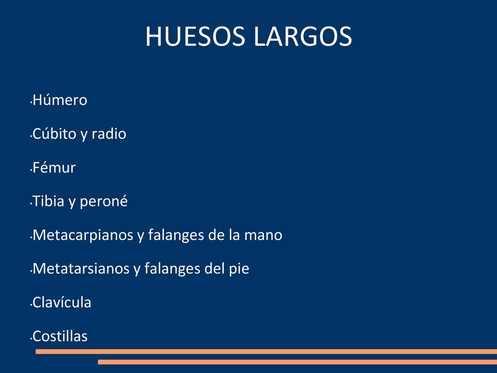 HUESOS LARGOS Húmero Cúbito y radio Fémur Tibia y peroné
