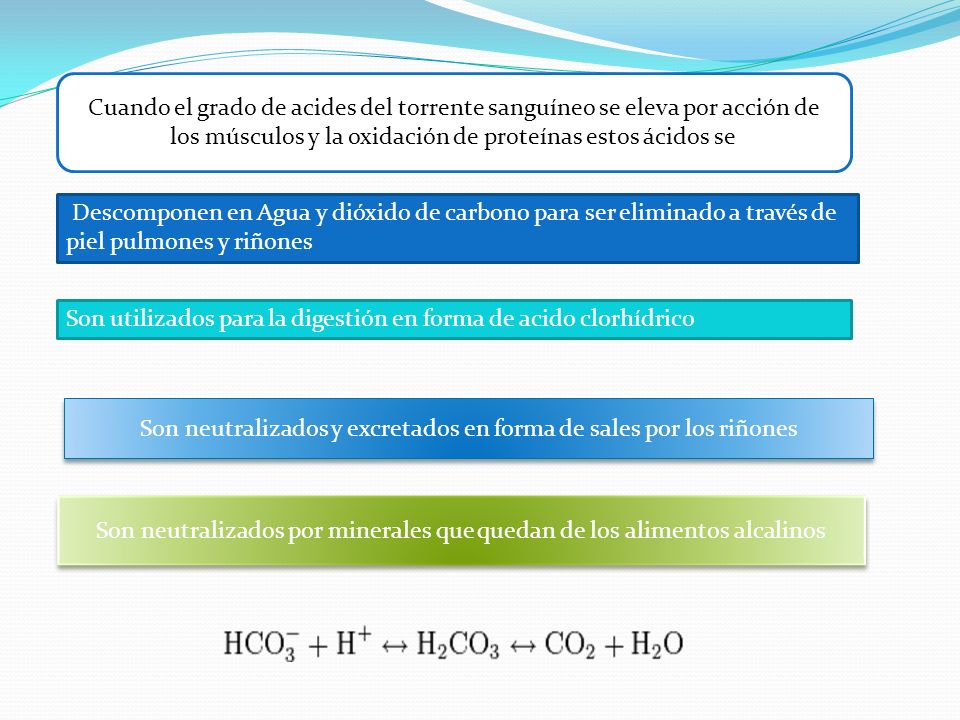Son utilizados para la digestión en forma de acido clorhídrico