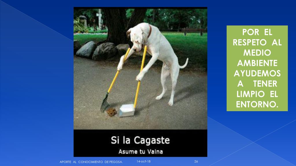 POR EL RESPETO AL MEDIO AMBIENTE AYUDEMOS A TENER LIMPIO EL ENTORNO.