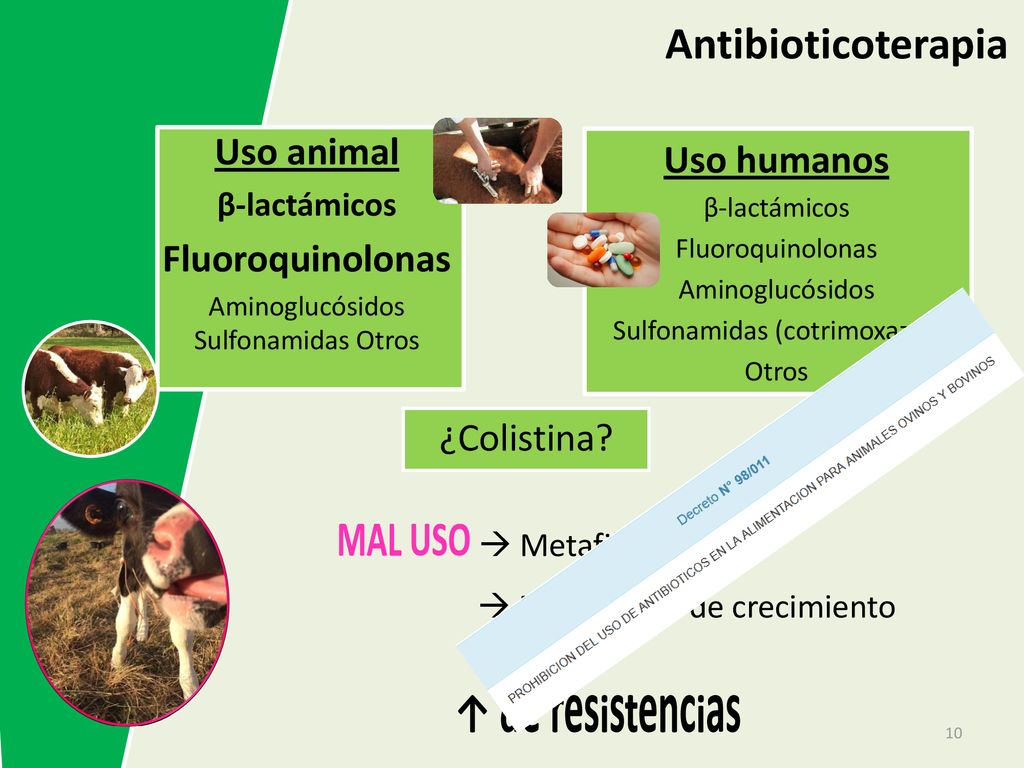 Antibioticoterapia Uso animal Uso humanos Fluoroquinolonas ¿Colistina
