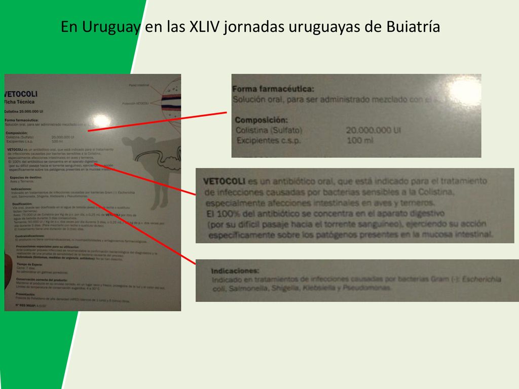 En Uruguay en las XLIV jornadas uruguayas de Buiatría