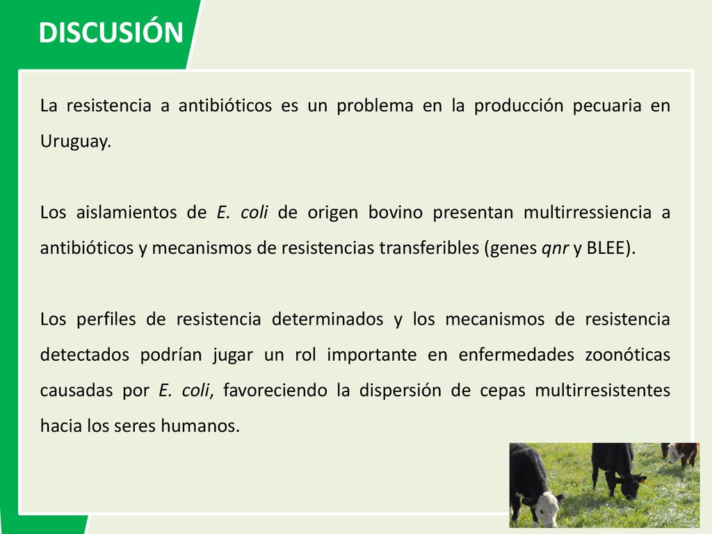 DISCUSIÓN La resistencia a antibióticos es un problema en la producción pecuaria en Uruguay.