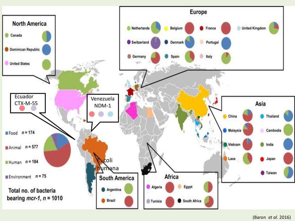Venezuela NDM-1 Ecuador CTX-M-55 E. coli humana (Baron et al. 2016)