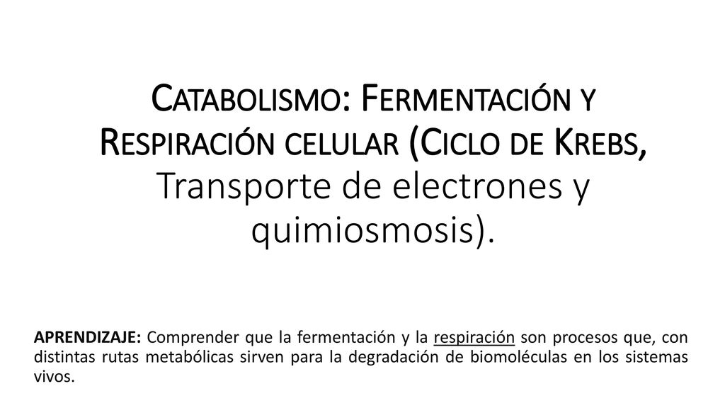 Catabolismo: Fermentación y Respiración celular (Ciclo de Krebs, Transporte de electrones y quimiosmosis).