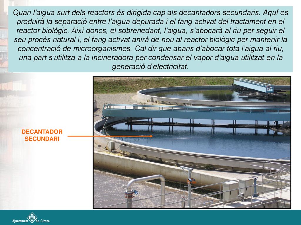 Quan l’aigua surt dels reactors és dirigida cap als decantadors secundaris. Aquí es produirà la separació entre l’aigua depurada i el fang activat del tractament en el reactor biològic. Així doncs, el sobrenedant, l’aigua, s’abocarà al riu per seguir el seu procés natural i, el fang activat anirà de nou al reactor biològic per mantenir la concentració de microorganismes. Cal dir que abans d’abocar tota l’aigua al riu, una part s’utilitza a la incineradora per condensar el vapor d’aigua utilitzat en la generació d’electricitat.