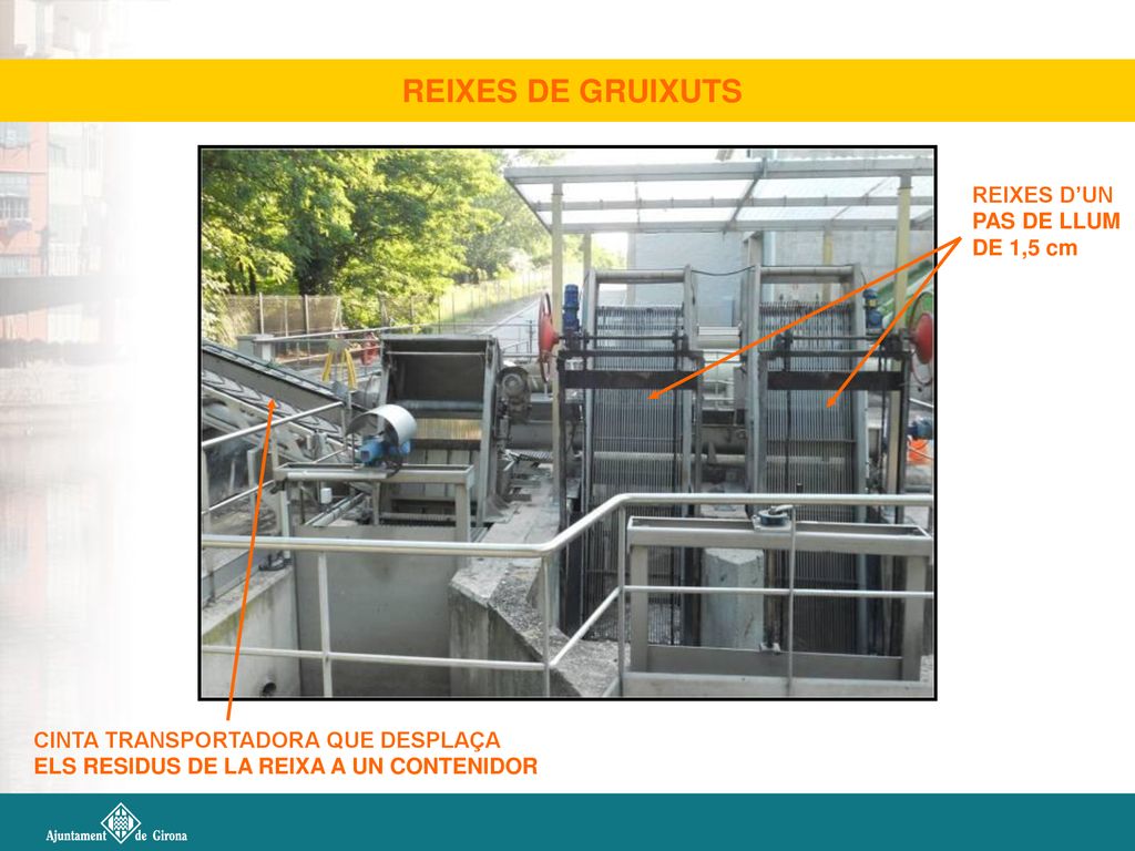 REIXES DE GRUIXUTS REIXES D’UN PAS DE LLUM DE 1,5 cm
