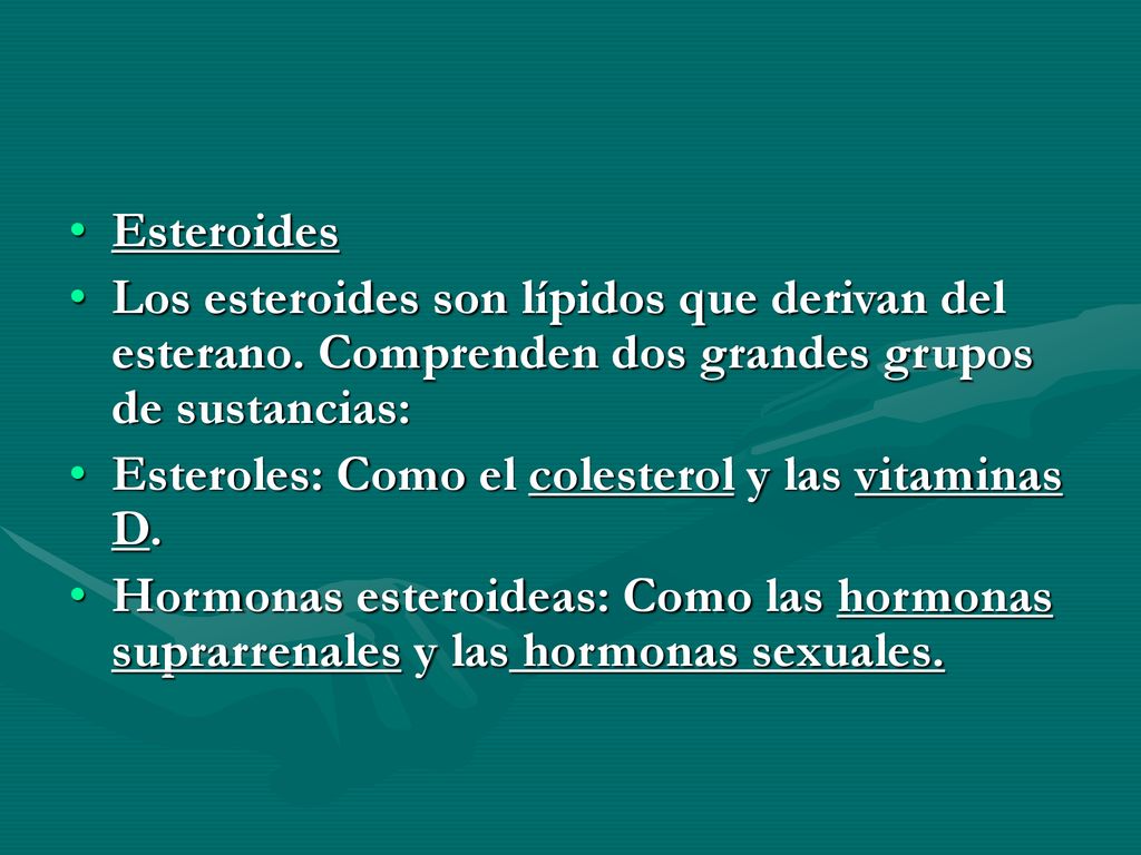 Esteroides Los esteroides son lípidos que derivan del esterano. Comprenden dos grandes grupos de sustancias: