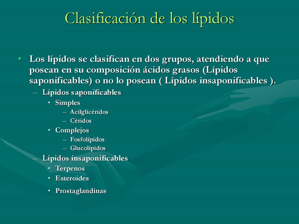 Clasificación de los lípidos