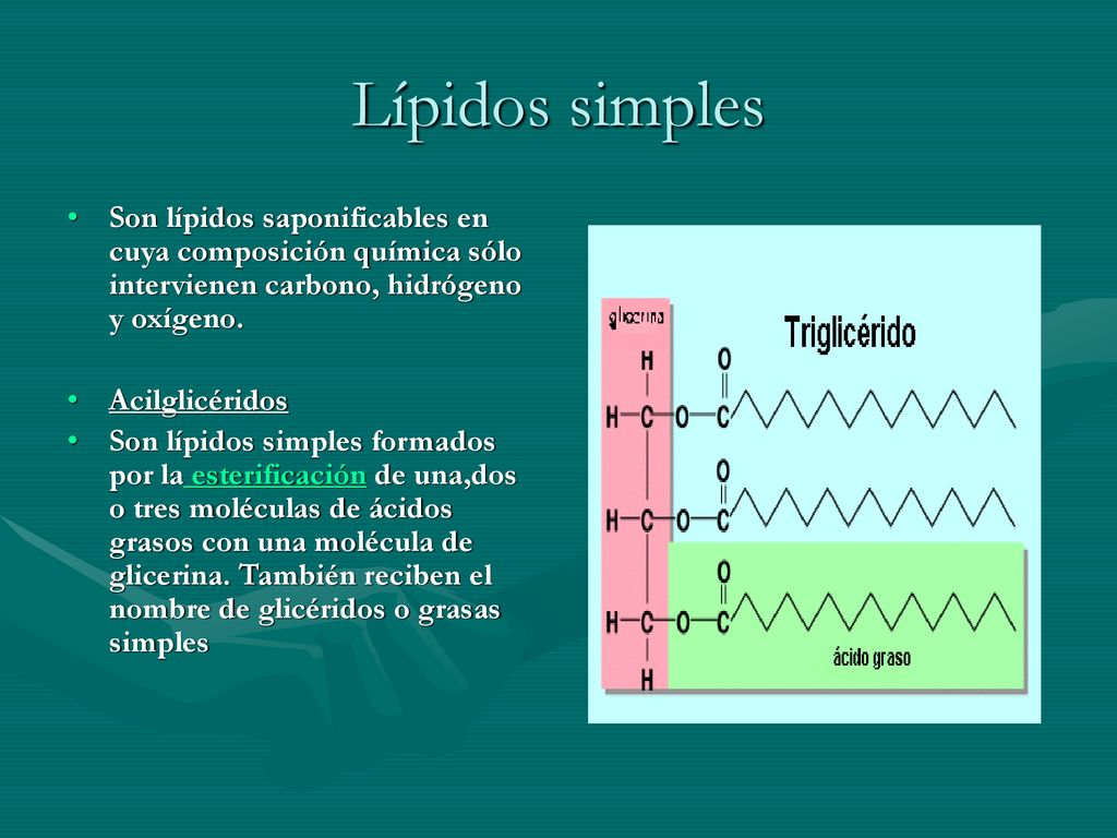 Lípidos simples Son lípidos saponificables en cuya composición química sólo intervienen carbono, hidrógeno y oxígeno.